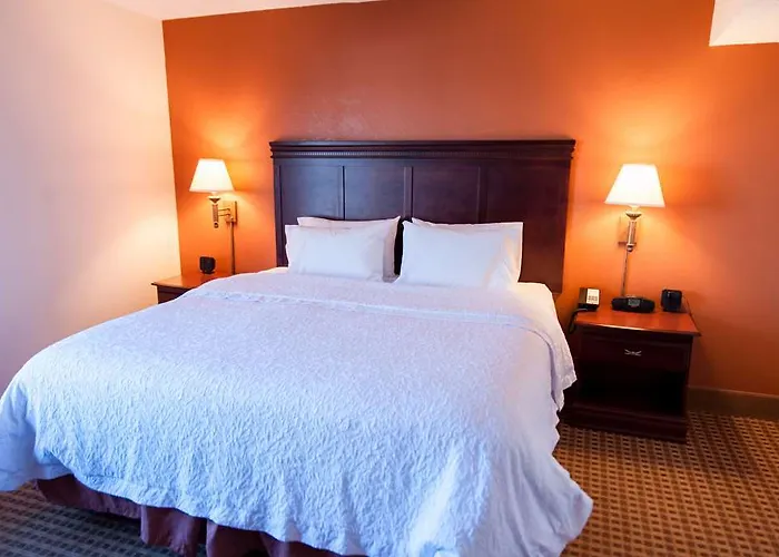 Hotel Hilton Minneapolis-st Paul Airport